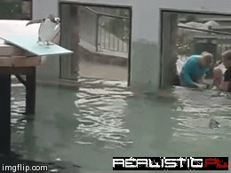 First Time Off the High Dive