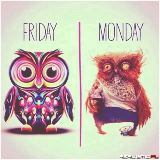 Friday vs Monday