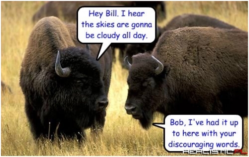 Go Play With The Deer & The Antelope, Would Ya