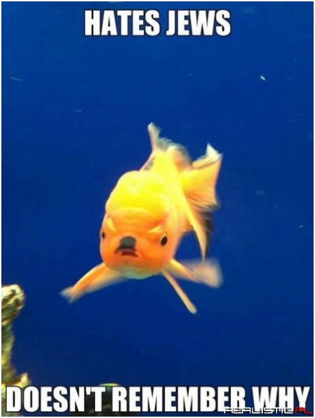 Hates jews