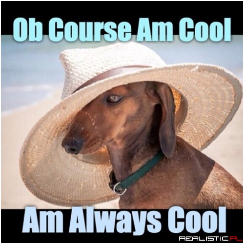 He's A Dedicated Follower Ob Fashun