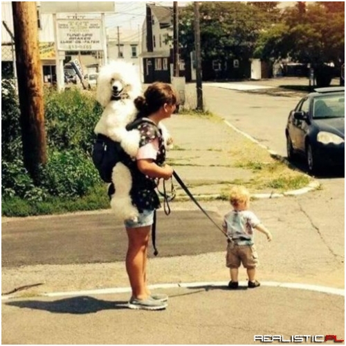 Hey...Whatever Works