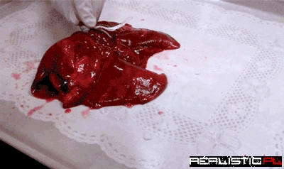 Holy shit our lungs are crazy