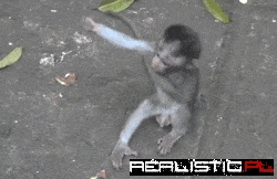 Hurry! I Need a Hug!