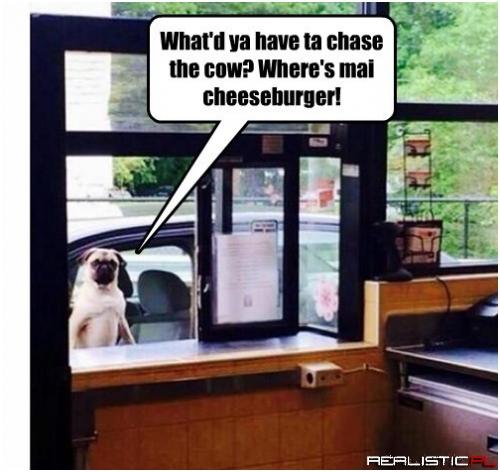 I Didn't Even Need it Cooked!