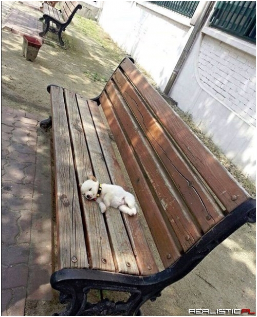 I Just Need a Little Rest