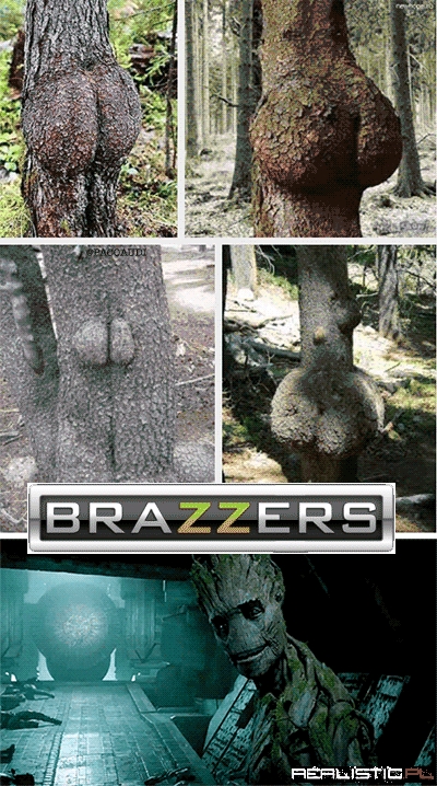 I Like Tree Butts And I Cannot Lie