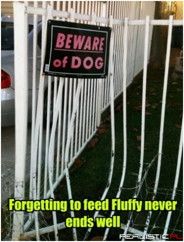 I Think Dog Food Costs More Than a New Gate