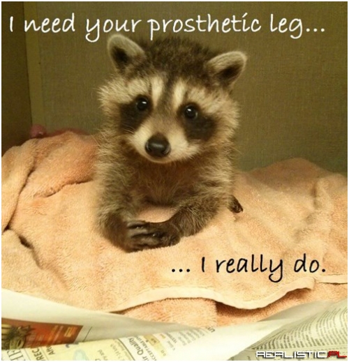 I'll Give Him Whatever He Wants