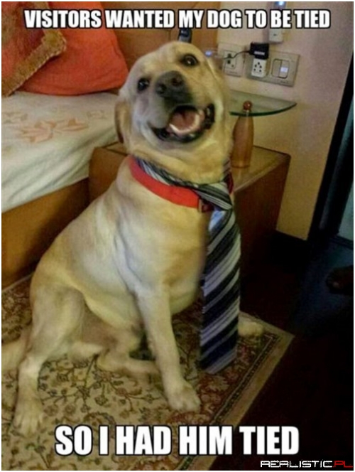 It Was a Dinner Party, After All