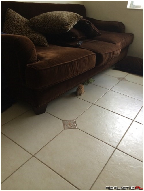 It's a Big World Out There!