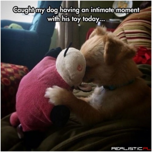 It's Just You and Me, Stuffles