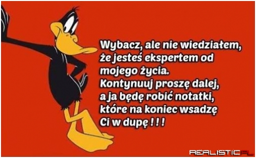 Jesteś expertem ....