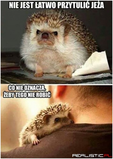 Jeżowi tez się należy