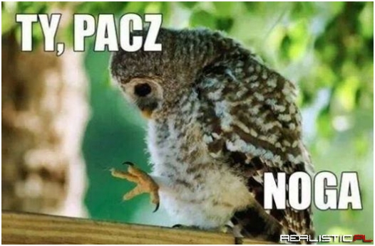 Każdy dzień przynosi nieoczekiwane odkrycia.