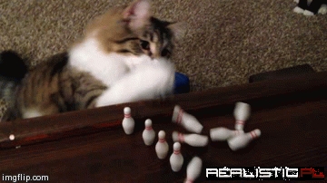 Kitty Bowling