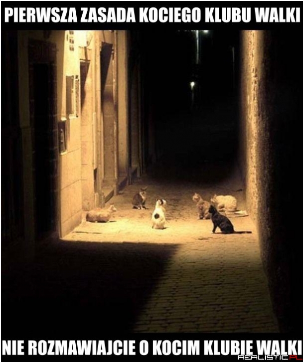 Koci klub walki