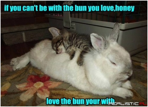 Misheard Song Lyrics Work Too