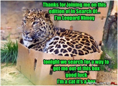 Next Week - How Leopards Get Their Spocks