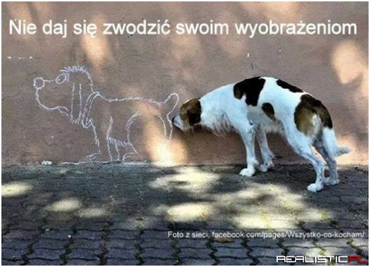 Nie daj się zwodzić