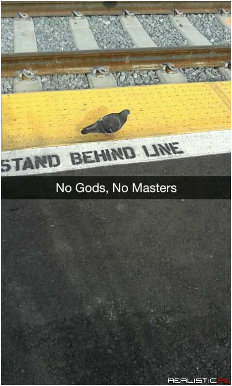 No Gods