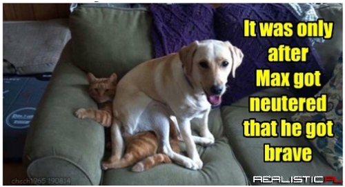 No Worries on the Danger Zone