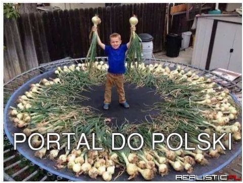 Portal do Polski