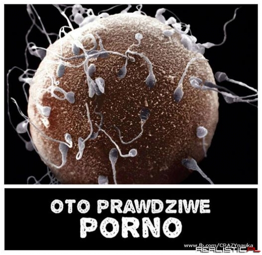 Prawdziwe porno