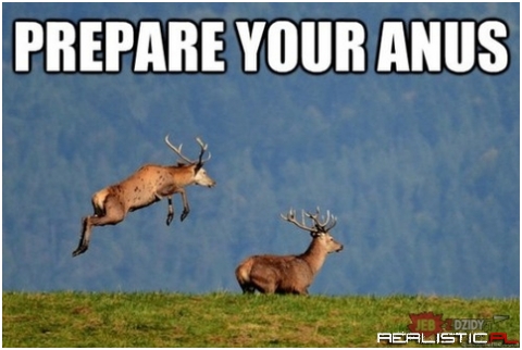 Prepare your anus