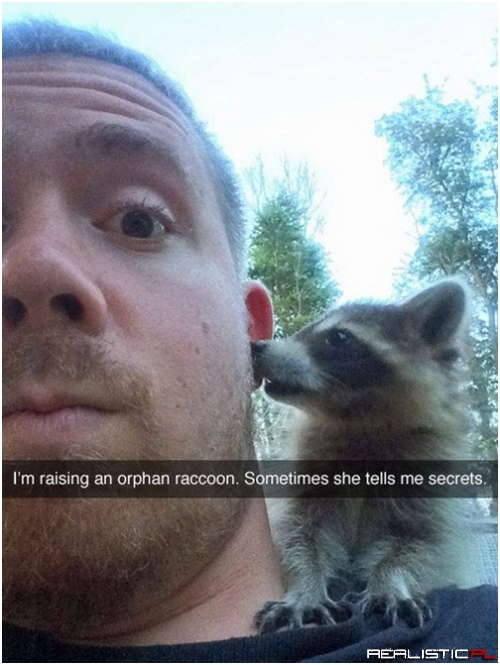 Pssst...I Know Where You Hide Your Garbage