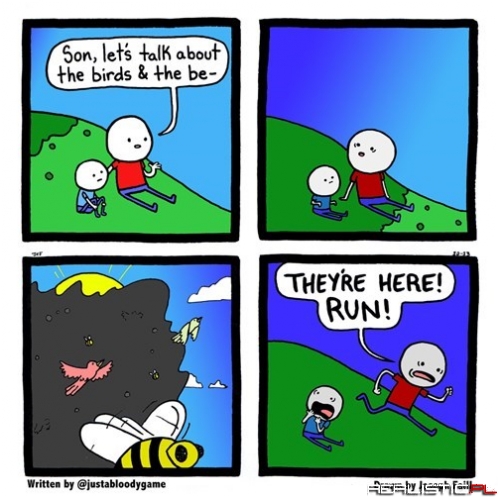 Remember to Talk About the Birds And Bees