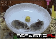 Stop the Ride! I Want Off!