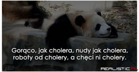 Tak bardzo prawdziwe