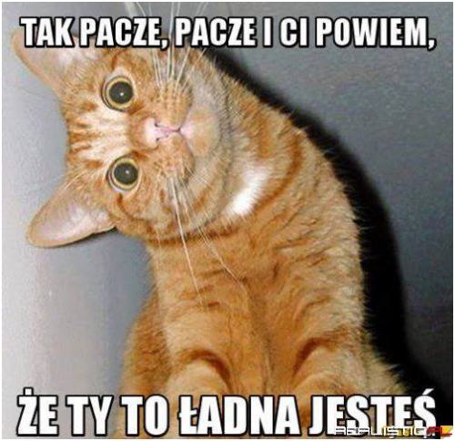 Tak pacze...