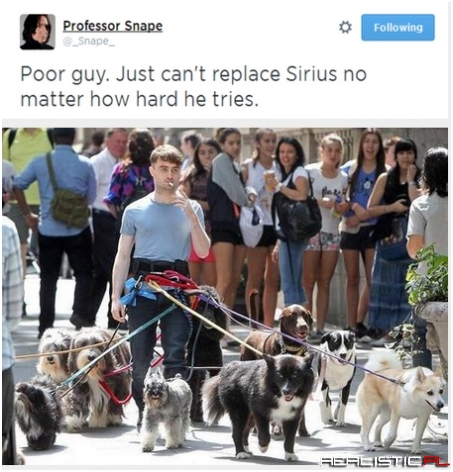 Taking a Walk to 12 Grimmauld Place