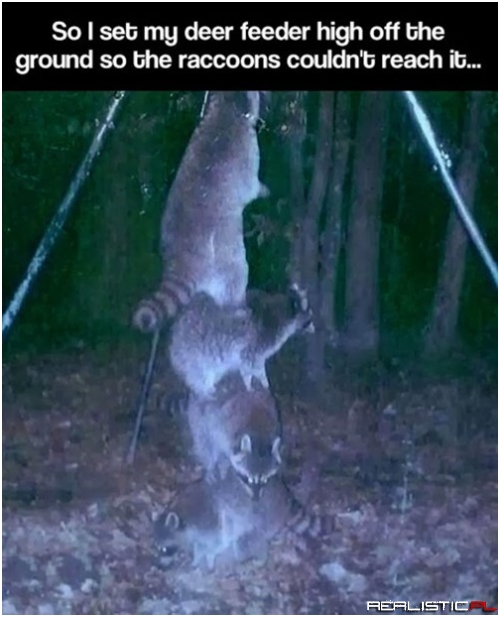 Teamwork Isn't Always a Good Thing