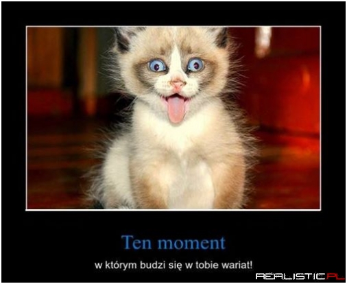 Ten moment