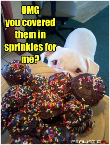 The Cat Didn't Mind You Taking Them From the Litter Box