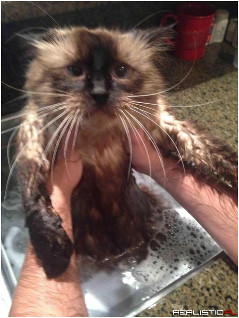 The look of pure betrayal