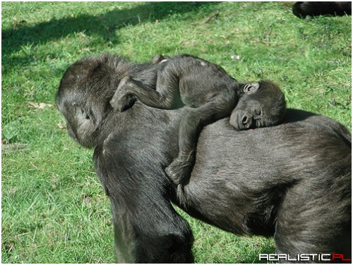 The Most Comfortable Spot in the World