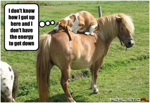 The Most Humble Way to be on Your High Horse