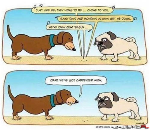 They Just Long to Be Close to You