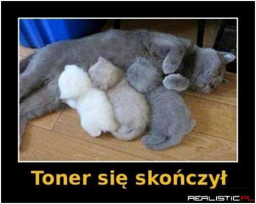 Toner się skończył