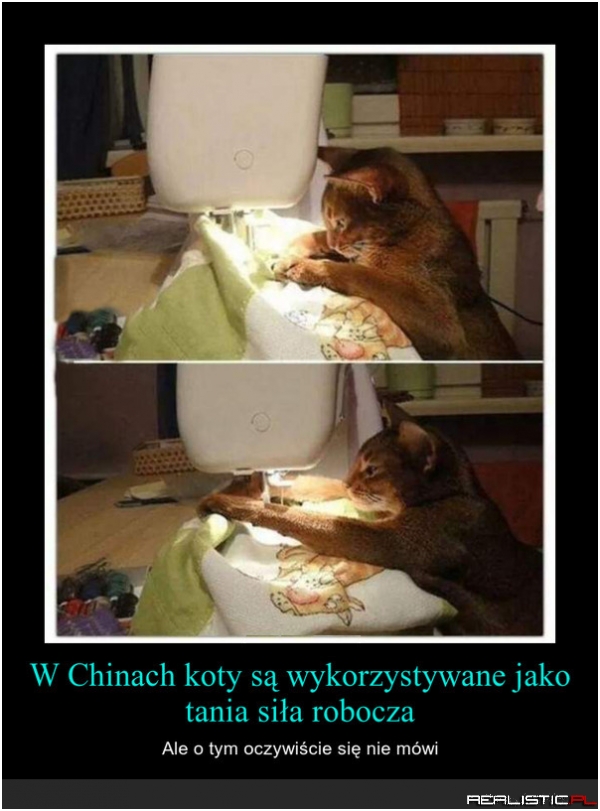 Tymczasem w Chinach