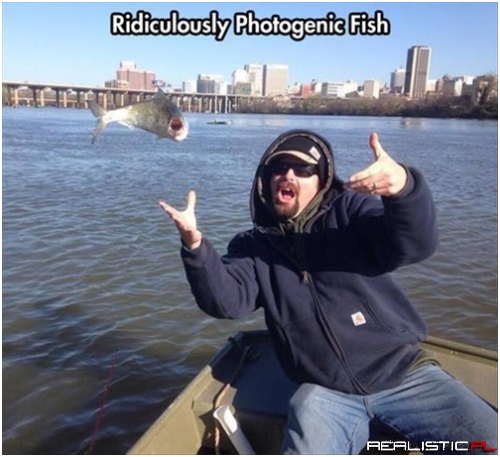 What Up, Y'all! I'm a Fish!