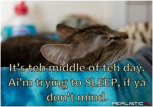 What's Wrong With You!