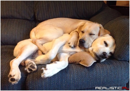 When is it My Turn to be the Bed