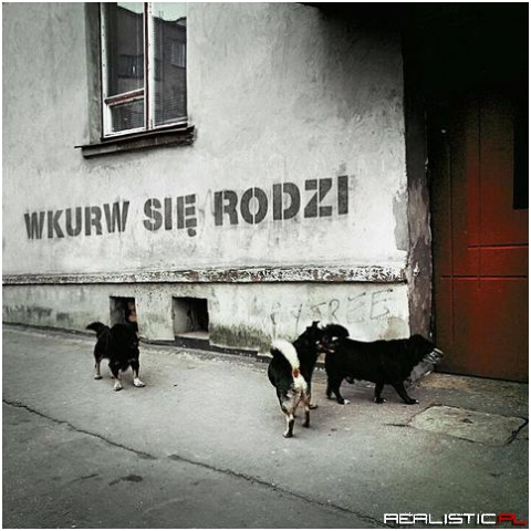 Wkurw się rodzi