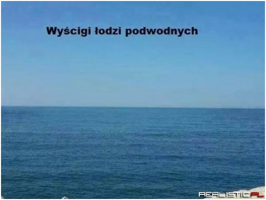 Wyścigi