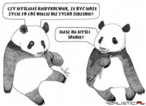 ycie to coś więcej niż tylko jedzenie